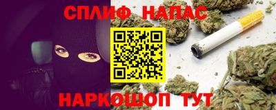 PSILOCYBIN Гатчина