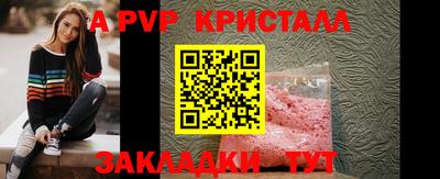 PSILOCYBIN Гатчина