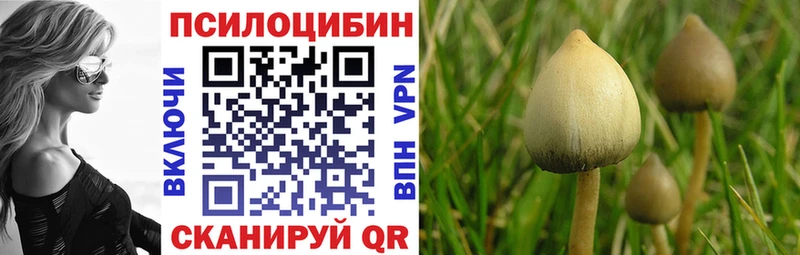 Псилоцибиновые грибы мухоморы  наркота  hydra tor  Тавда 