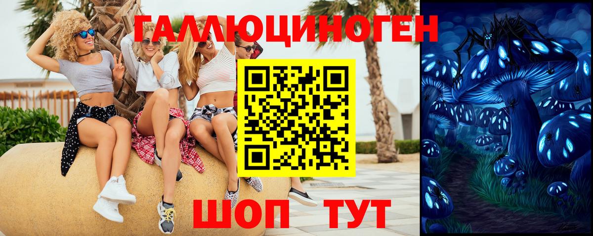 Псилоцибиновые грибы мухоморы Тавда