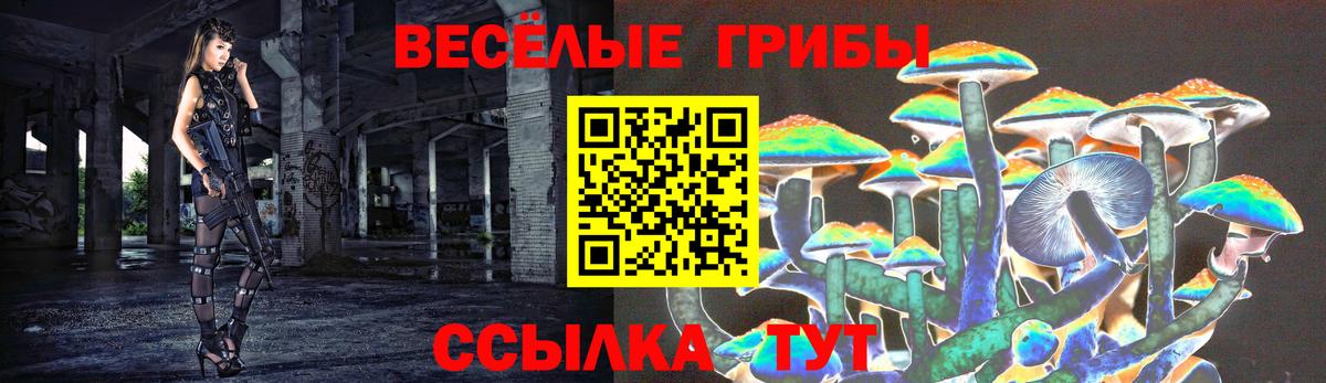 Галлюциногенные грибы ЛСД  Тавда  Псилоцибиновые грибы ЛСД 